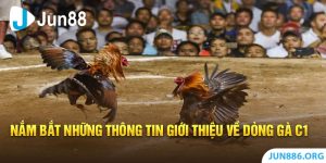 Gà Chọi C1 - Nắm Bắt Thông Tin Về Chiến Kê Mạnh Mẽ