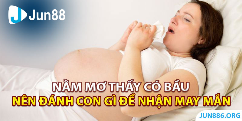 Nằm Mơ Thấy Có Bầu Nên Đánh Con Gì Để Nhận Thêm May Mắn?