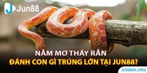 Nằm Mơ Thấy Rắn: Đánh Đề Con Số Nào Trúng Lớn Tại Jun88