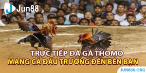 Trực Tiếp Đá Gà Thomo Mang Cả Đấu Trường Đến Bên Bạn 