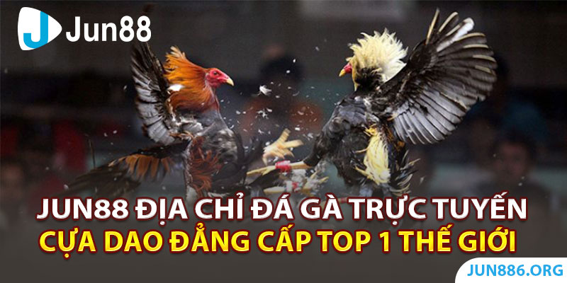 Jun88 - địa chỉ đá gà trực tuyến cựa dao đẳng cấp top 1 thế giới